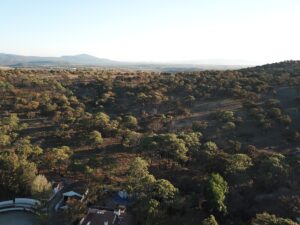 vista a una zona boscosa de Ciudad Guzmán, Jalisco, se logran apreciar unos inmuebles, opciones para rentar tu departamento en Ciudad Guzmán.