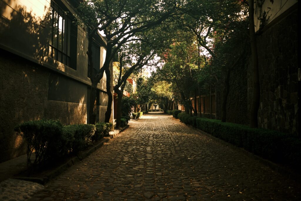 vista de una colonia donde puedes rentar tu departamento en Coyoacán