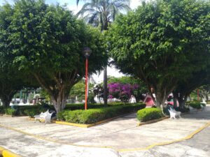 Zócalo de ubicado en el centro histórico de la ciudad, punto de reunión popular de quienes rentan una casa en Zongolica.