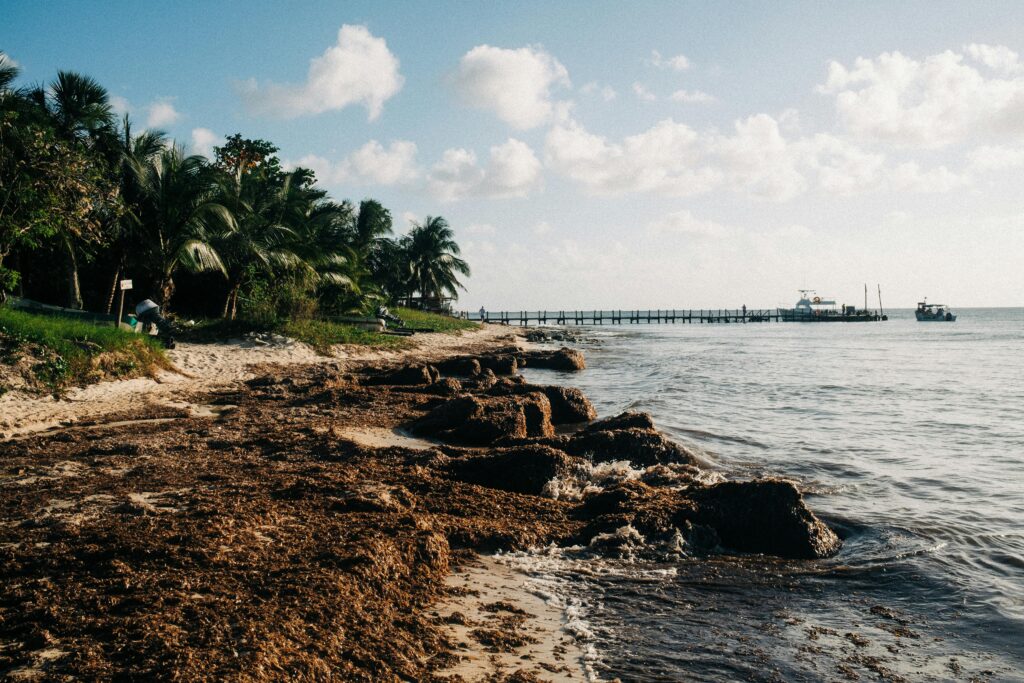 vista a la playa, punto atractivo para rentar tu departamento en Cozumel.