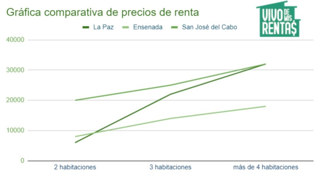 grafica loreto