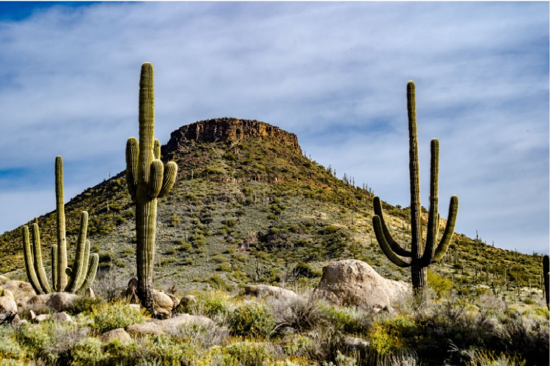 Paisaje desértico que podrán disfrutar los inquilinos al rentar tu departamento en Nuevo Laredo